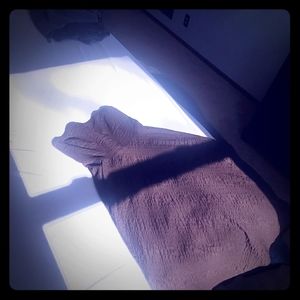 Simple and elegant strapless J.CREW dress